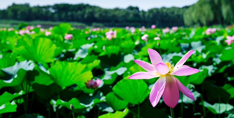 rb88随行版_官网官网入口