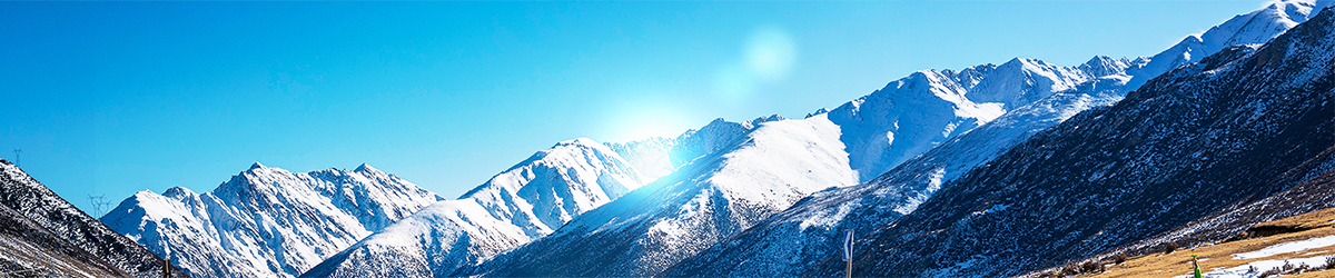 rb88随行版_官网官网入口